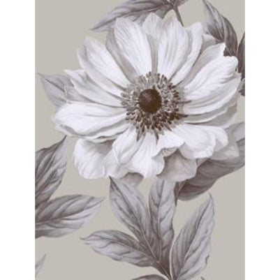 Oversized Black n White Floral Calendula on Silver on Unpasted Wallpaper