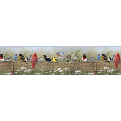 Clarence Green Song Bird Menagerie Portrait Easy Walls Wallpaper Border - all4wallswall-paper