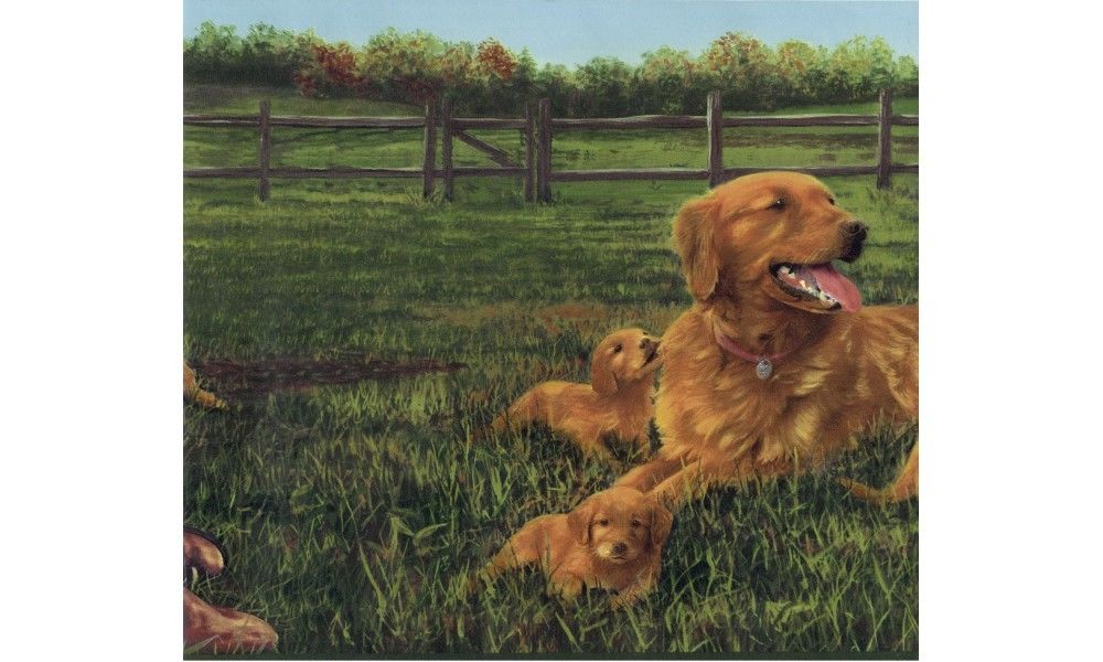 Labrador and Puppies on a Farm Extra Large 13.5" Wallpaper Border - all4wallswall-paper