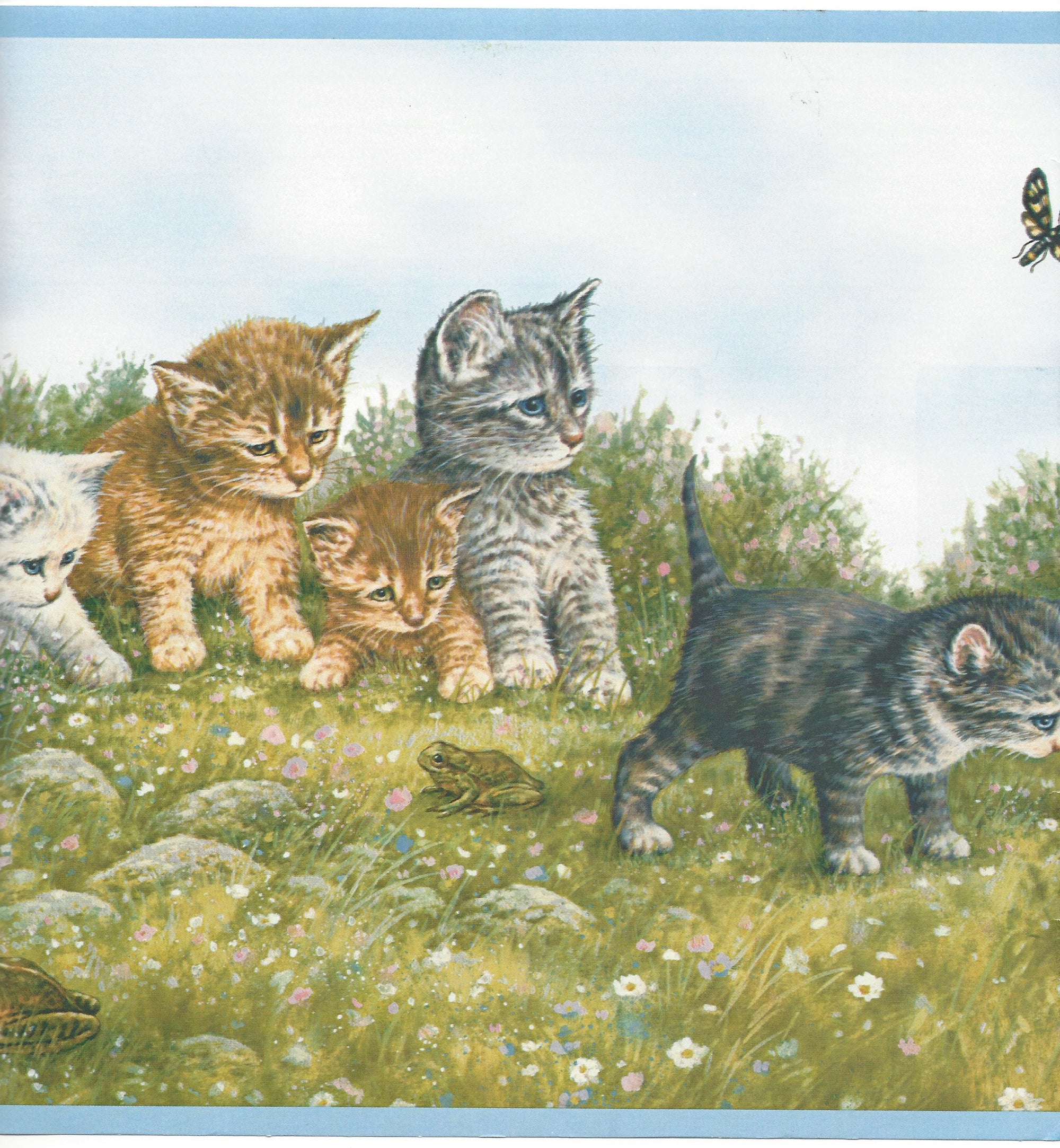 Kitten - Kittens and Playmates with Blue Edge Cat Wallpaper Border - all4wallswall-paper