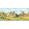 Kitten - Kittens and Playmates with Blue Edge Cat Wallpaper Border - all4wallswall-paper
