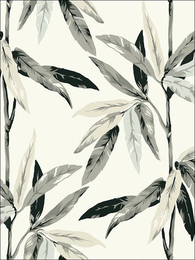 Black, Grey, Beige, Silver Tropical Leaves Off White Unpasted Wallpaper