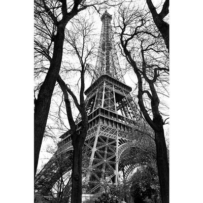 Eiffel Tower 6ft x 9ft Unpasted Mural CB43200M