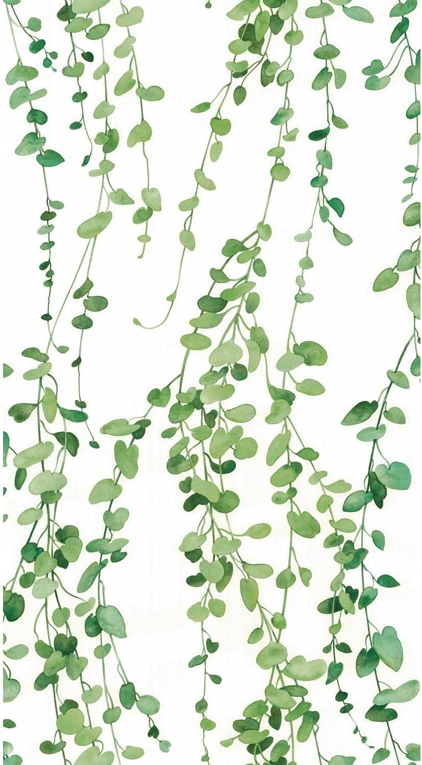 Hanging Watercolor Green Vines on White Peel and Stick Single Roll