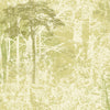 Dark Green Trees on Sage Green and White Tree Silhouettes Unpasted Wallpaper - all4wallswall-paper