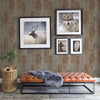 Chebacco Brown Wood Planks on Easy Walls Wallpaper - all4wallswall-paper