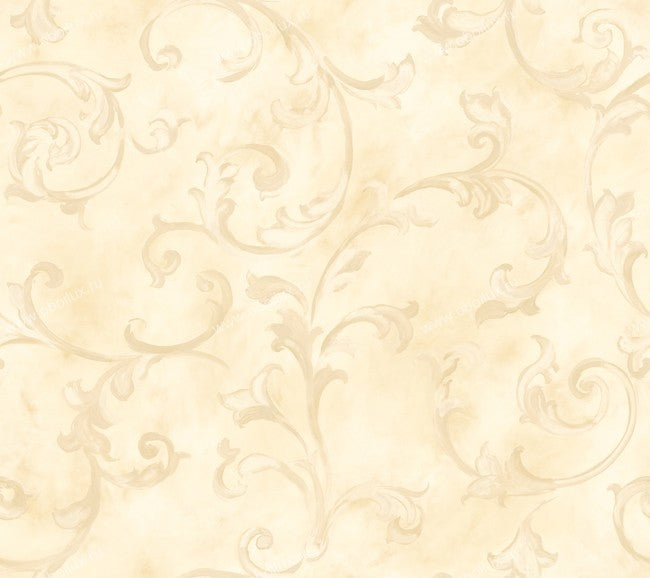 Fresco Scroll Butter Beige Wallpaper - all4wallswall-paper
