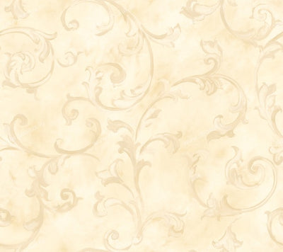 Fresco Scroll Butter Beige Wallpaper - all4wallswall-paper