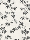 Tropical Black Branches on Off White Light Stria Background Wallpaper - all4wallswall-paper
