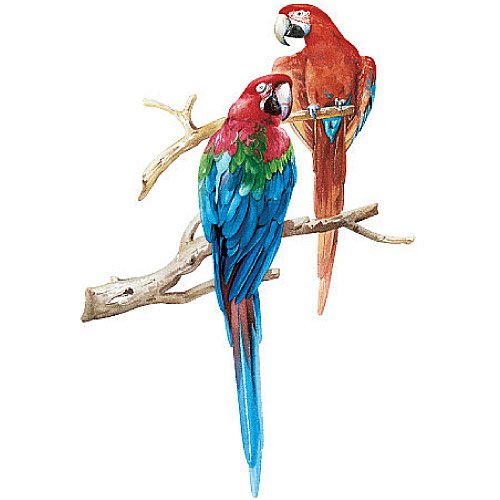 Two Large Parrots Mini Mural - all4wallswall-paper