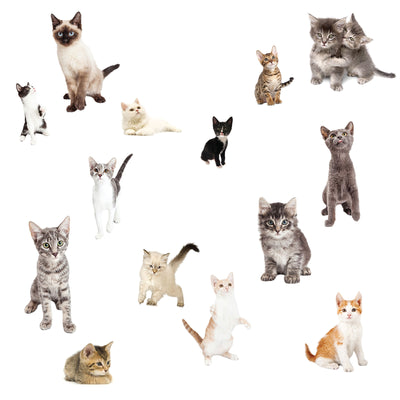 Multiple Cats Peel and Stick Mural Appliques - all4wallswall-paper