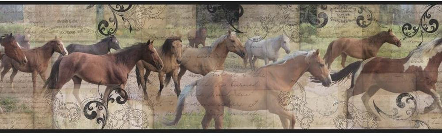 Stampede of Horses on Grey Contemporary on Sure Strip Wallpaper Border - all4wallswall-paper