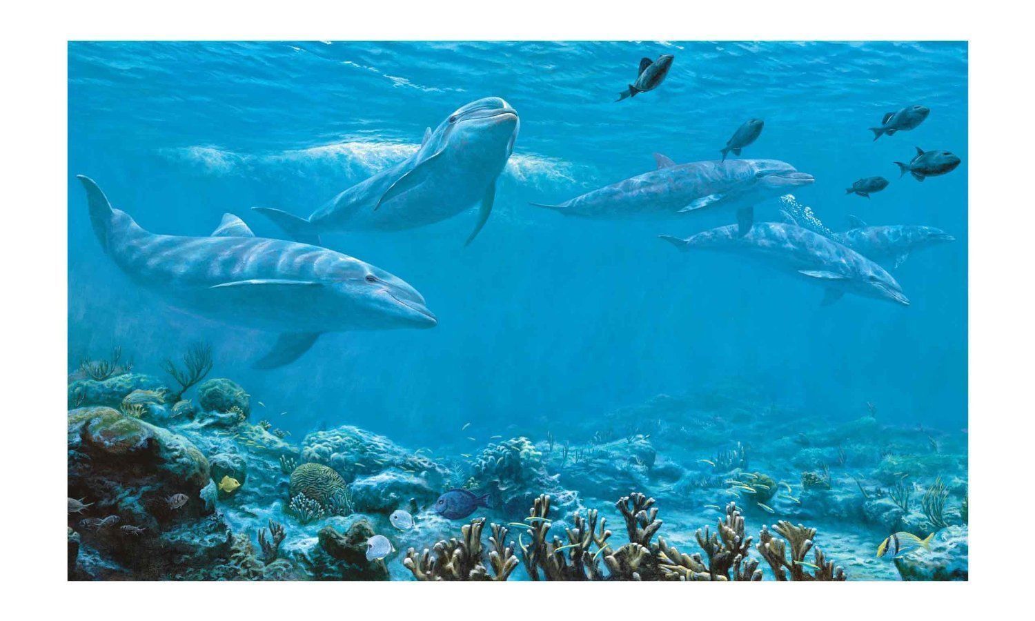 Dolphins Under the Sea, Above the Coral 10.5' x 6' Wall Mural Sure Strip - all4wallswall-paper