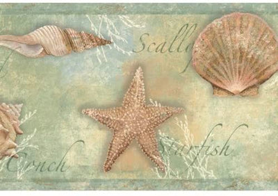 Titled Shells on Seafoam Green Easy Walls Wallpaper Border - all4wallswall-paper