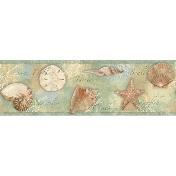 Titled Shells on Seafoam Green Easy Walls Wallpaper Border - all4wallswall-paper