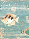 Tropical Fish Shells Sea Life on Weathered Teal on Easy Walls Wallpaper Border - all4wallswall-paper