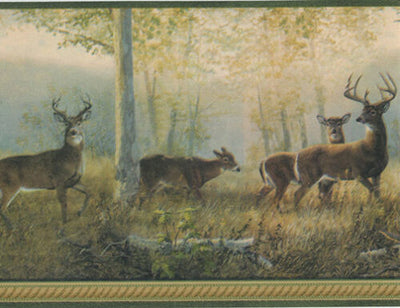 Northwoods Forest Deer with Green Edge 6" Wallpaper Border