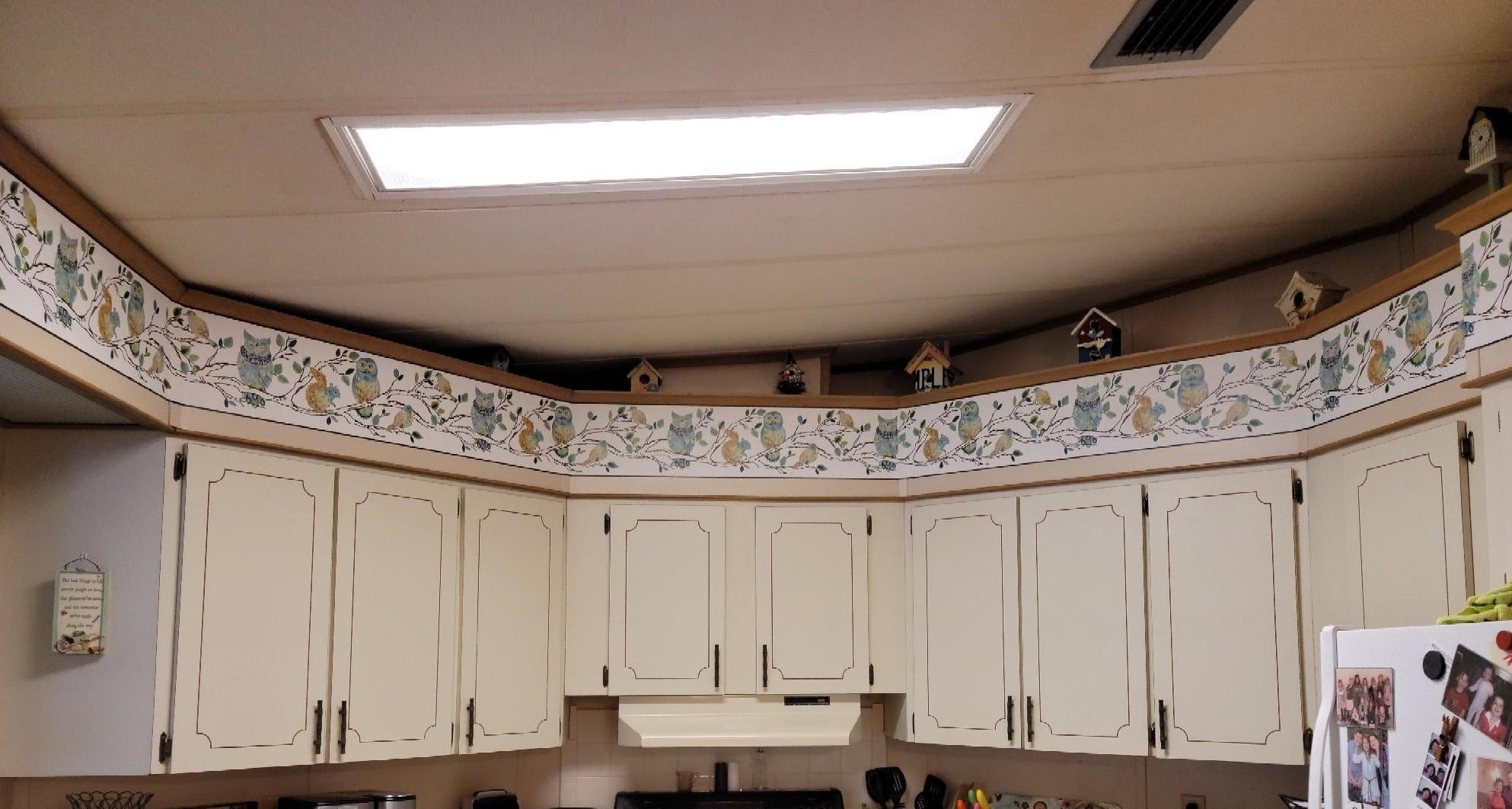 Forest Friends Hand Painted Black Tree on Sure Strip Wallpaper Border SB7664BD - all4wallswall-paper