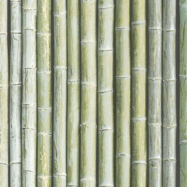 Bamboo Realistic Stalks in Green Solid Vinyl on Paste the Wall Wallpaper - all4wallswall-paper