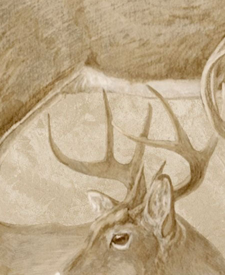 Oh Deer, Oh Deer Sketched Toile Wallpaper - all4wallswall-paper