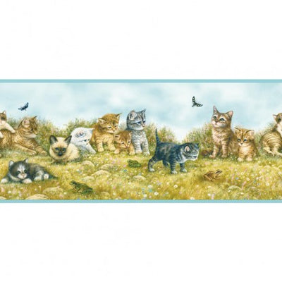 Kitten - Kittens and Playmates with Blue Edge Cat Wallpaper Border - all4wallswall-paper