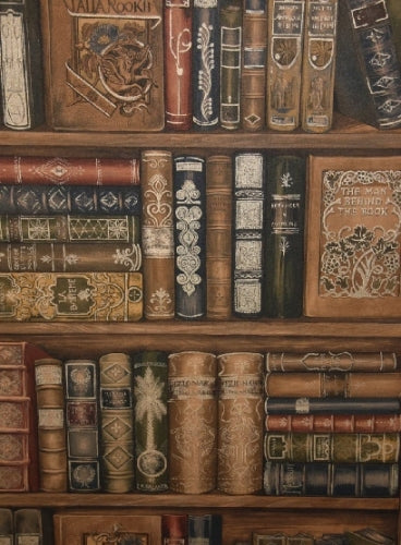 Norwall Library Bookcase Wallpaper - all4wallswall-paper