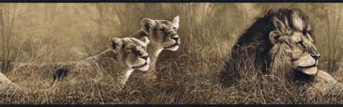 Blue Trim Jungle Safari Lion Wallpaper Border