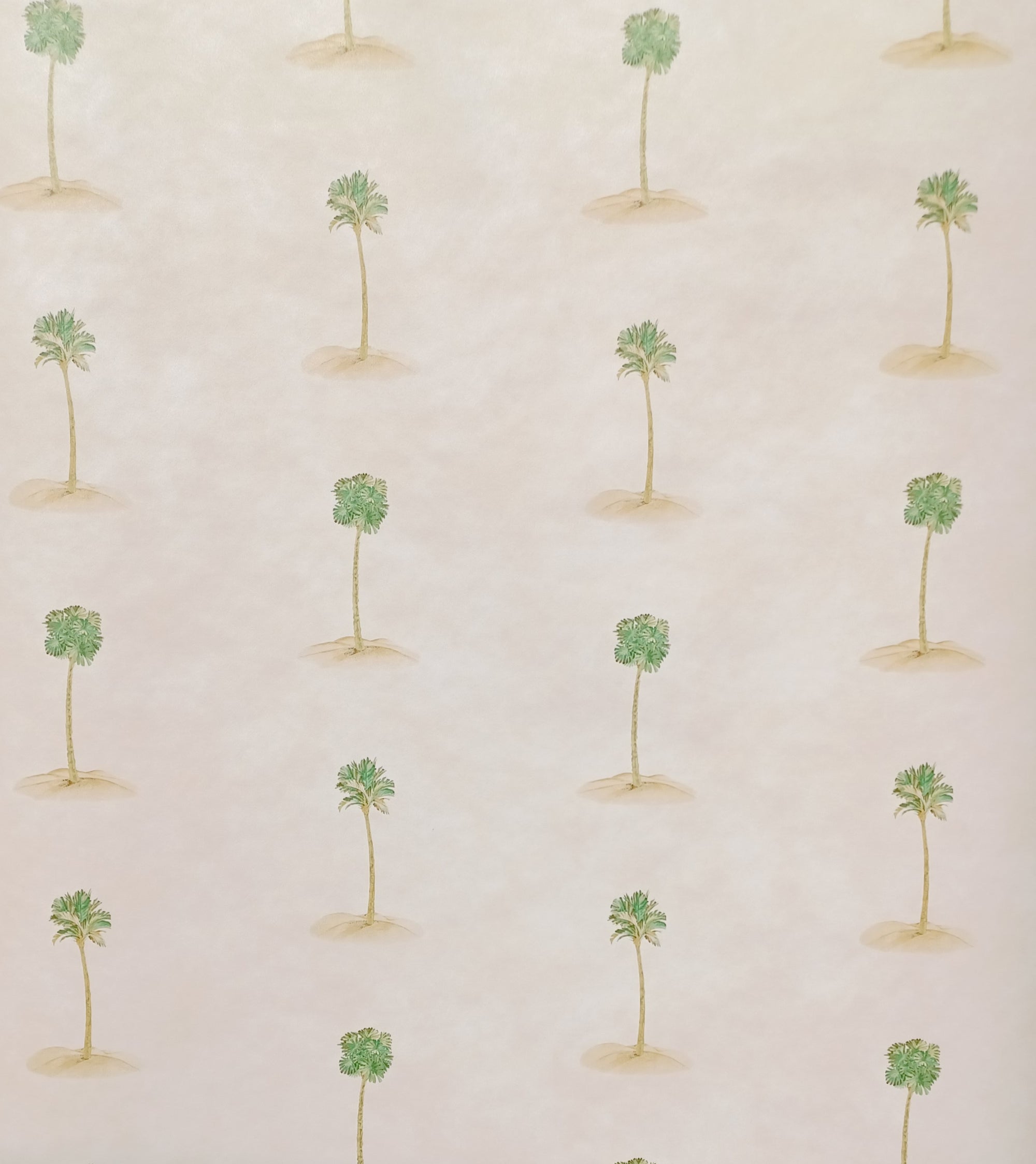 Palm Trees in the Sand Wallpaper