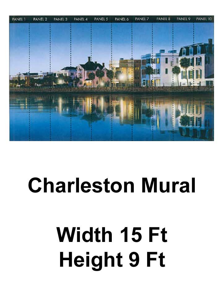 Charleston SC Wallpaper 15' x 9' Full Wall Mural - all4wallswall-paper