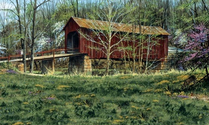 Country Covered Bridge Full Wall Mural 15' x 9' - all4wallswall-paper