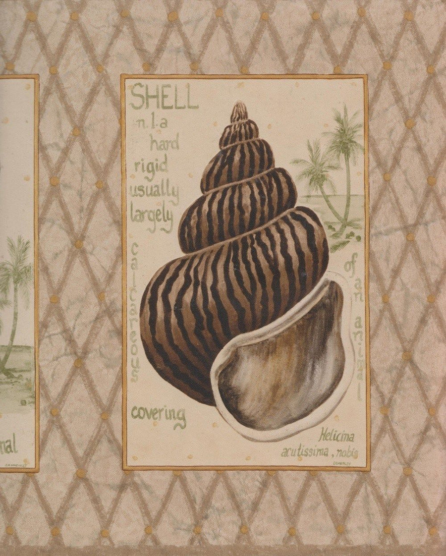 Shells Squared on Brown Diamond Wallpaper Border - all4wallswall-paper