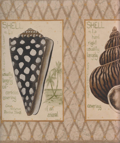Shells Squared on Brown Diamond Wallpaper Border - all4wallswall-paper