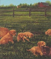 Labrador and Puppies on a Farm Extra Large 13.5" Wallpaper Border - all4wallswall-paper
