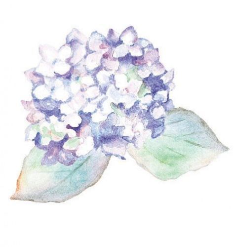 Purple Hydrangeas Flowers Wallies - all4wallswall-paper