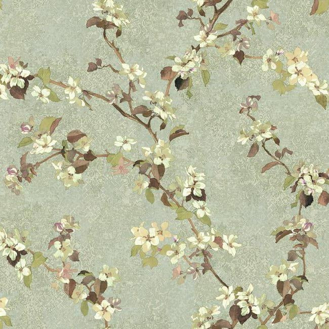 Apple Blossom Floral on Muted Scrollwork on Sage 27" Unpasted Wallpaper - all4wallswall-paper