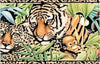 Jungle Safari Tiger Panda Gorilla Wallpaper Border