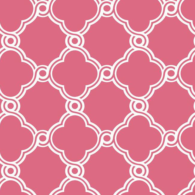 White Open Trellis on Hot Pink Background Wallpaper - all4wallswall-paper